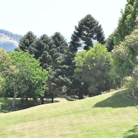 Apartamento Maleny Hinterland Escape Witta Exterior foto