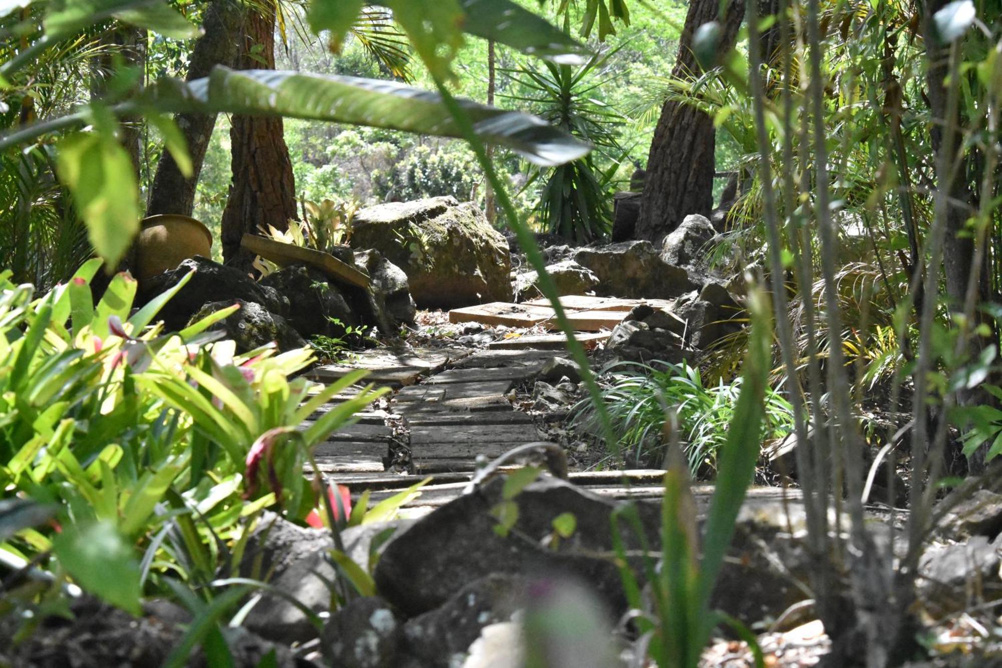 Apartamento Maleny Hinterland Escape Witta Exterior foto
