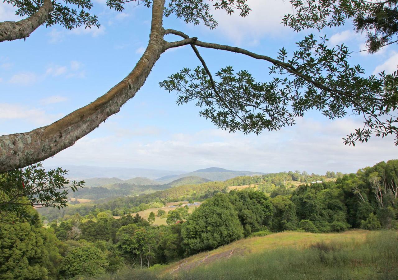 Apartamento Maleny Hinterland Escape Witta Exterior foto