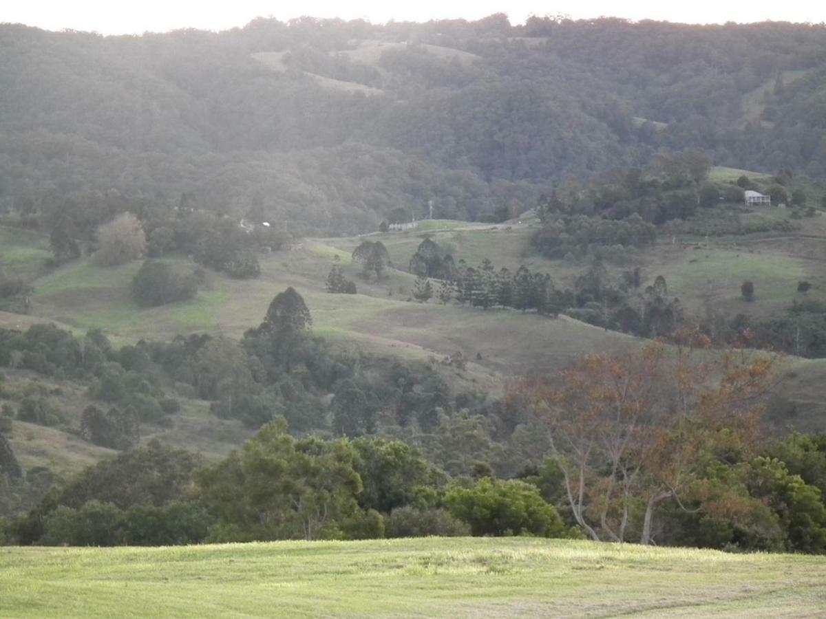 Apartamento Maleny Hinterland Escape Witta Exterior foto